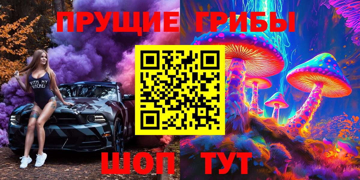 Галлюциногенные грибы Psilocybine cubensis Краснокаменск